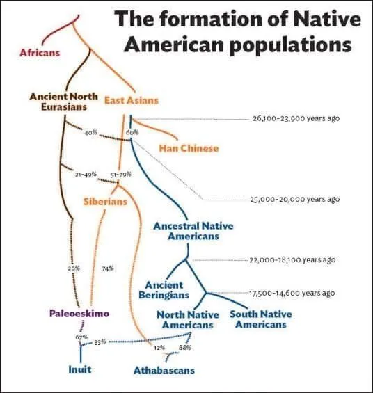 02-dna-native-americans-origins.adapt.536.1.webp