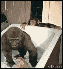 05248A6B-8105-4870-9F1E-8DF480C737ED.gif