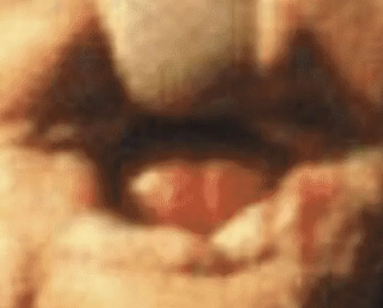 065F4849-1771-4ADB-9698-73D72FD2BF17.webp