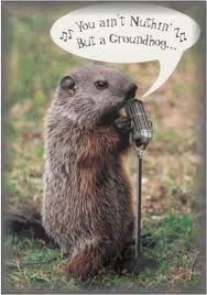 08e879ca17acefc700cafc912d32caff--groundhog-pictures-happy-groundhog-day.jpg