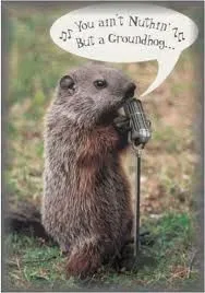 08e879ca17acefc700cafc912d32caff--groundhog-pictures-happy-groundhog-day.webp