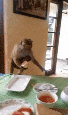 0C9020A1-063C-4480-BFC4-C64B25F1659C.gif