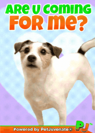 0zBtqPp3kTSCM3L3q6.gif