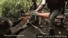 1000000053.gif