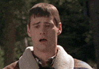 1000000073.gif