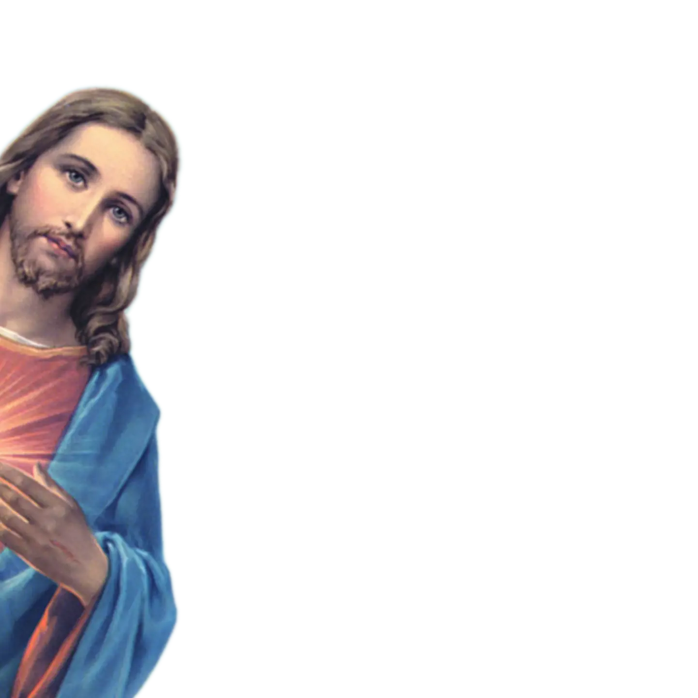 1000001039.webp