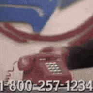 1000001850.gif