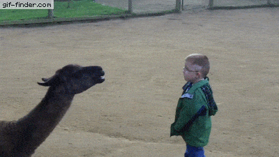 1000001901.gif