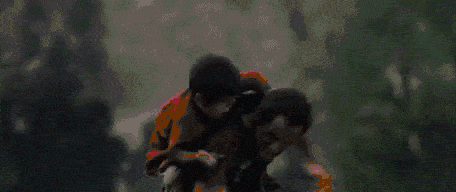 1000002736.gif