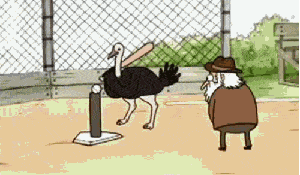 1000003039.gif