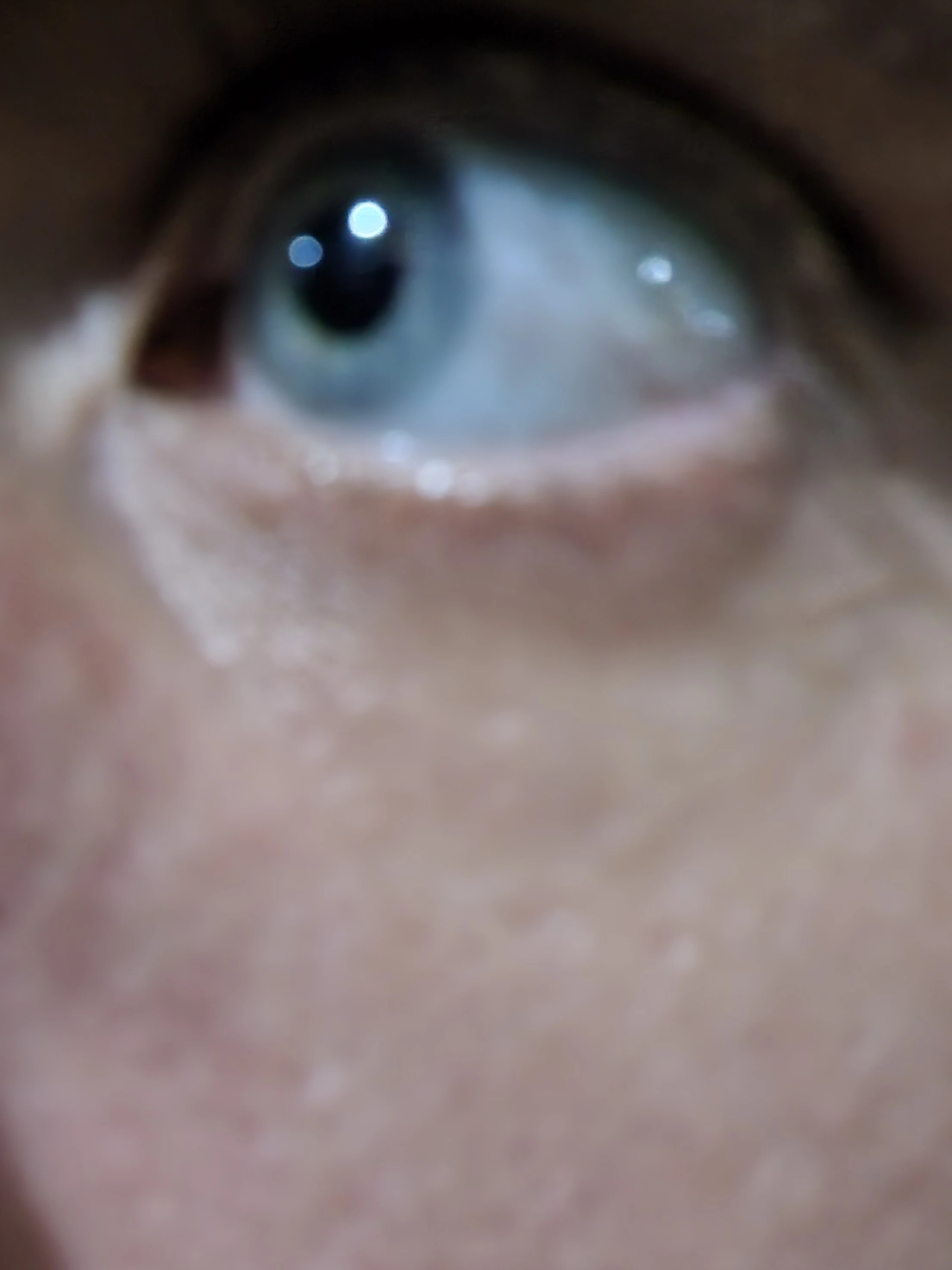 1000003138.webp