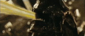 1000003900.gif