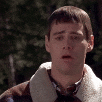 1000005260.gif