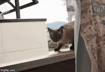1000007228.gif