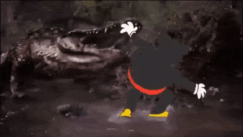 1000009493.gif