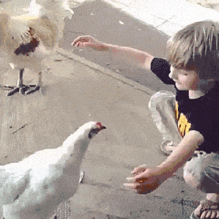 1000014916.gif