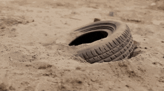 1000015241.gif