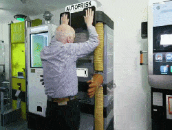 1000015911.gif