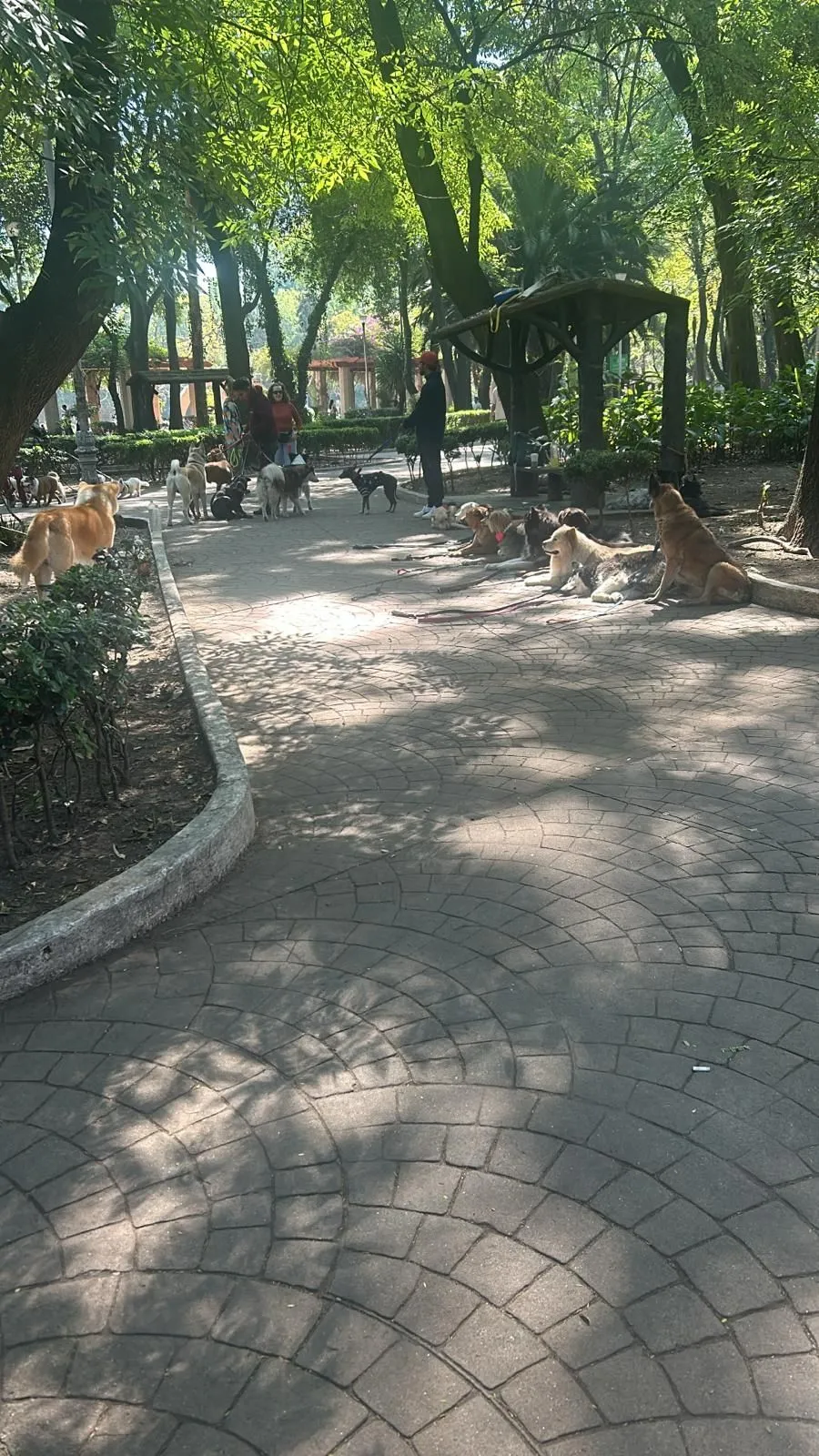 1000018522.webp