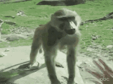 1000046598.gif