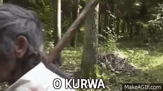 1000047340.gif