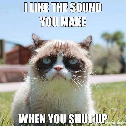 11-9-13-caturday-hilarious-funny-cat-photos2.jpg.pagespeed.ce.-gIz4jDNhLxUCOfYoMi1.webp