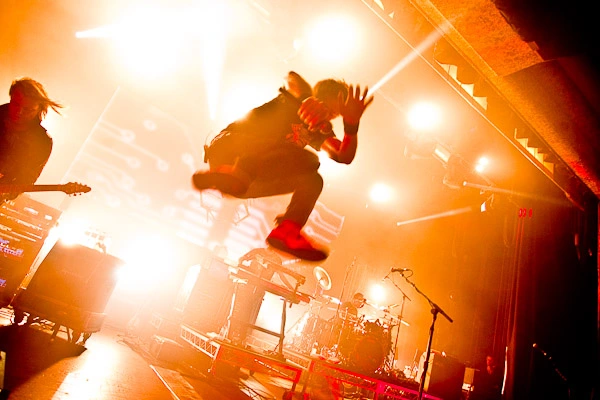 11.webp