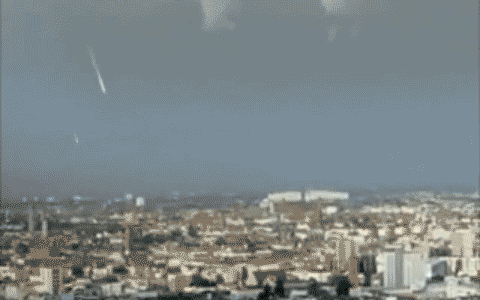 1293.gif