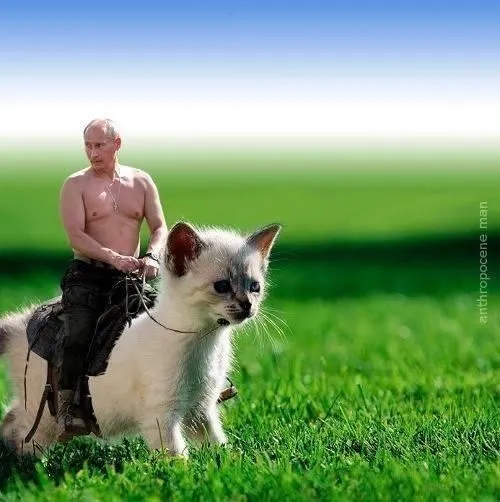 1438f767e9da44fbe6803eb444ca743b.webp