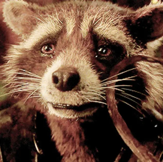 1529078412-rocket-racoon-guardians-of-the-galaxy.webp