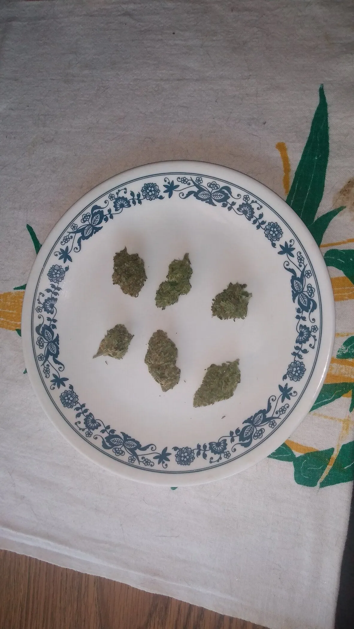 1572659410949.webp