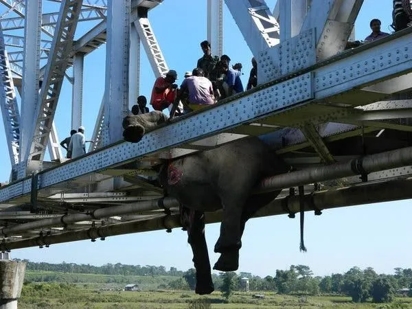15india-articleLarge.webp