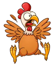 1647023114123.webp