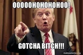 OOOOOHOHOHOHOO! GOTCHA BITCH!!! - Donald Trump Says | Make a Meme