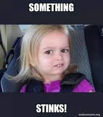 something stinks! - Side-Eyes Chloe | Make a Meme