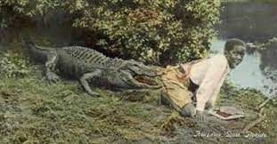 Were Black Children Used as Alligator Bait in the American South?