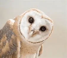1653988871994.webp