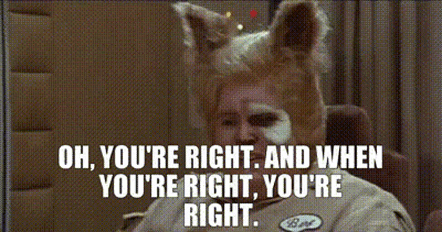 1669938722635.gif