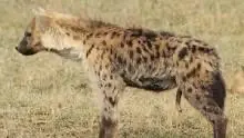 1679146719518.webp