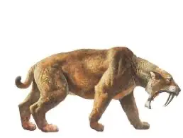1690140266666.png