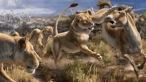 1690853482138.webp