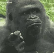 Gorillas Mist GIFs | Tenor