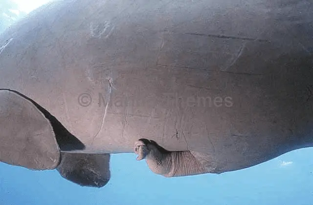 1691039424402.png