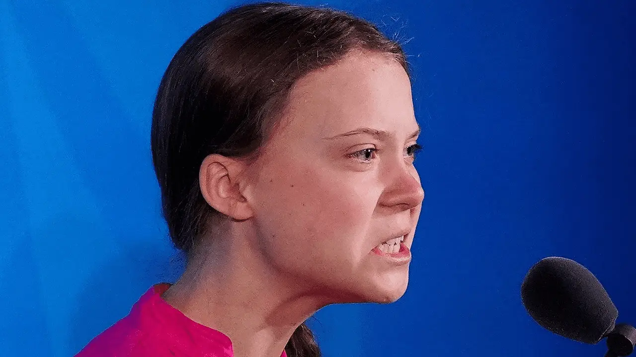 1691340741563.webp