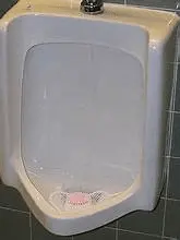 1691877627337.webp