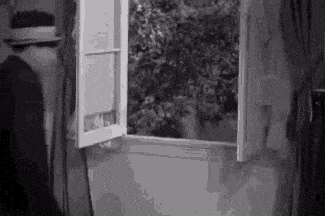 1694908478084.gif