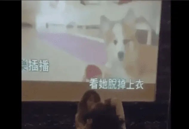 1696168595255.webp