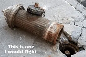 1697141488754.webp