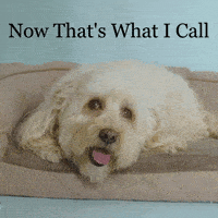 1699424785792.gif