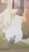 1701748628910.webp